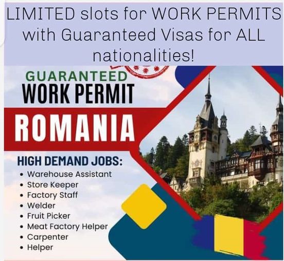 447753318_122101182752346853_4055839491362341462_n